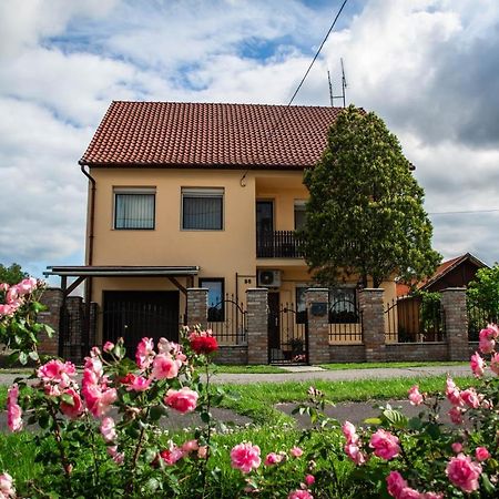 Monika Vendeghaz Hotel Morahalom Ngoại thất bức ảnh