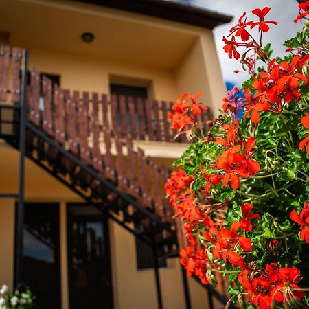 Monika Vendeghaz Hotel Morahalom Ngoại thất bức ảnh