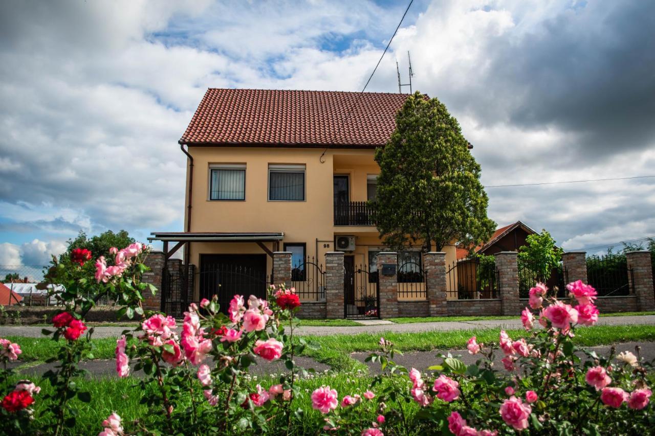 Monika Vendeghaz Hotel Morahalom Ngoại thất bức ảnh