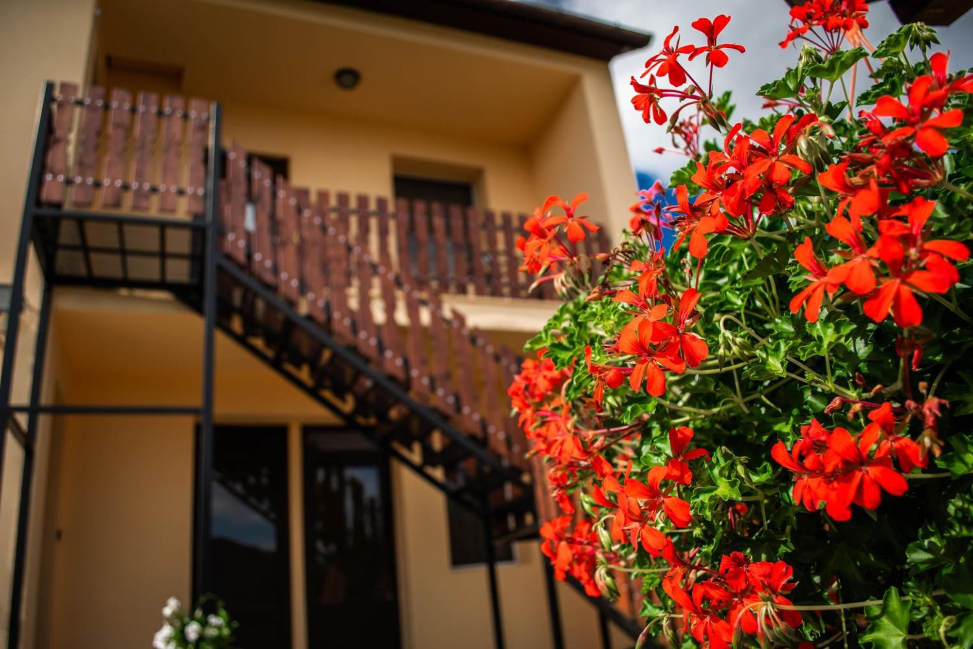 Monika Vendeghaz Hotel Morahalom Ngoại thất bức ảnh